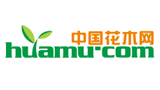 中国花木网