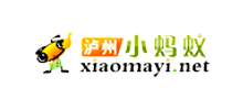 泸州小蚂蚁
