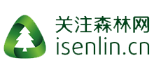 关注森林