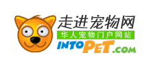 走进宠物网