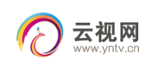 云视网